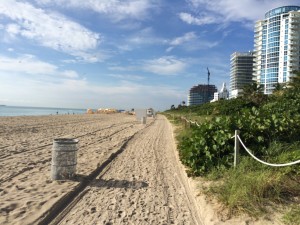 This whole state is my home on the road:  captured this photo while taking a run on Miami Beach.